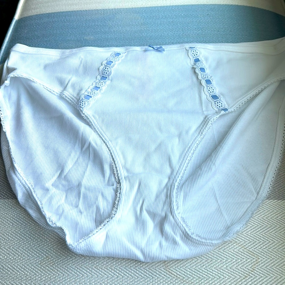 NWT Victoria’s Secret high leg brief panties, size XXL